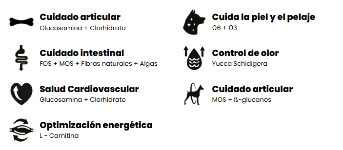 Amity SP Low Grain Cerdo Iberico 14 (Kg)