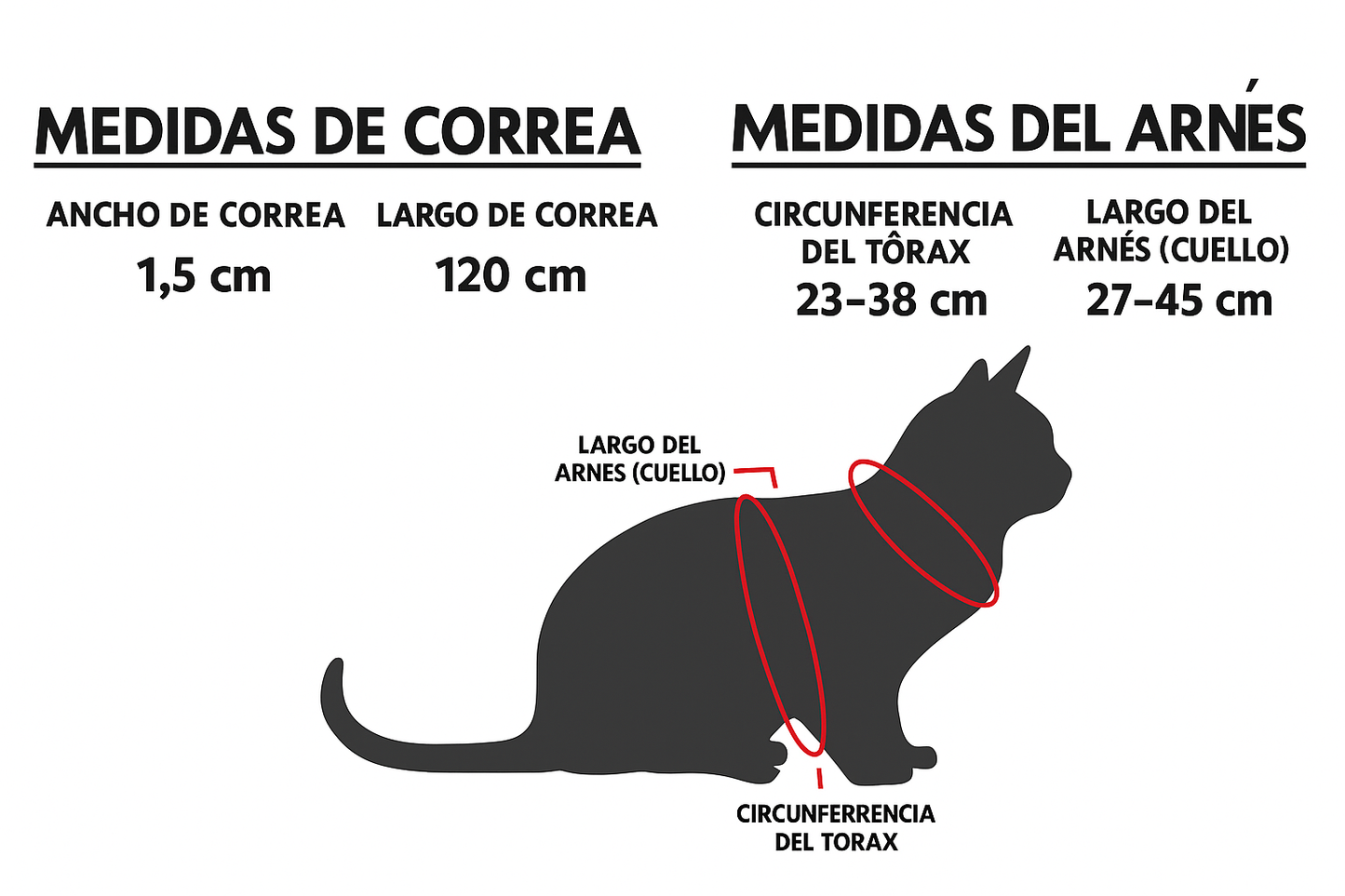 Arnes + Correa Gato (Talla M)