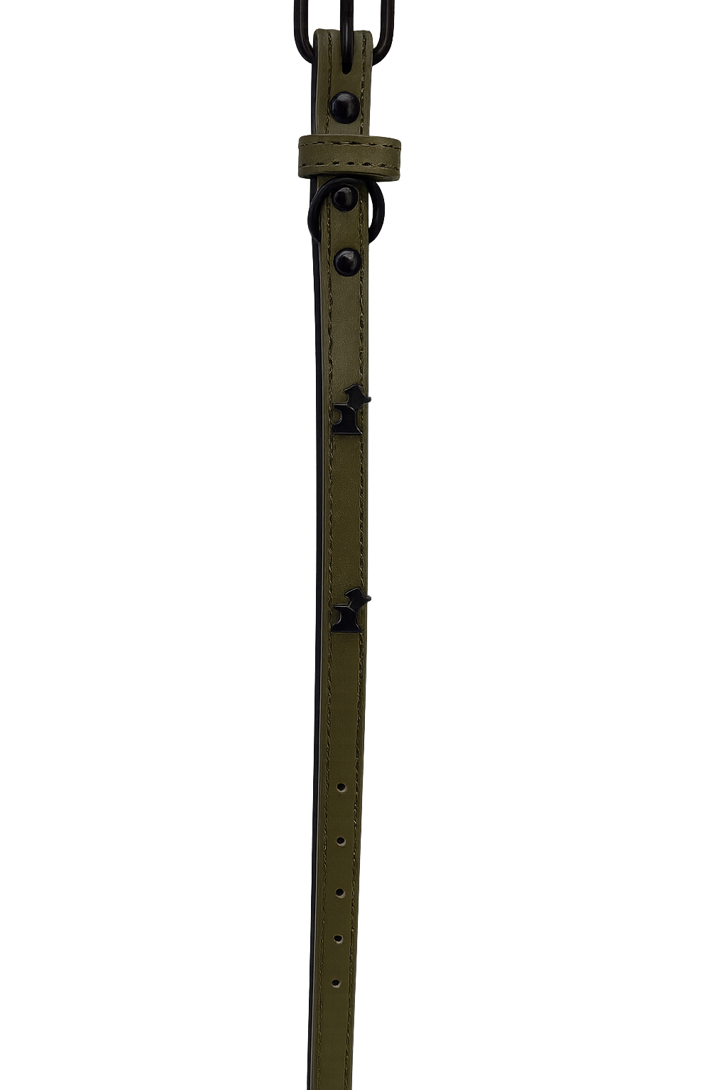 Collar para perro verde Talla S (Medidas: 1.5 cm x 38 cm)