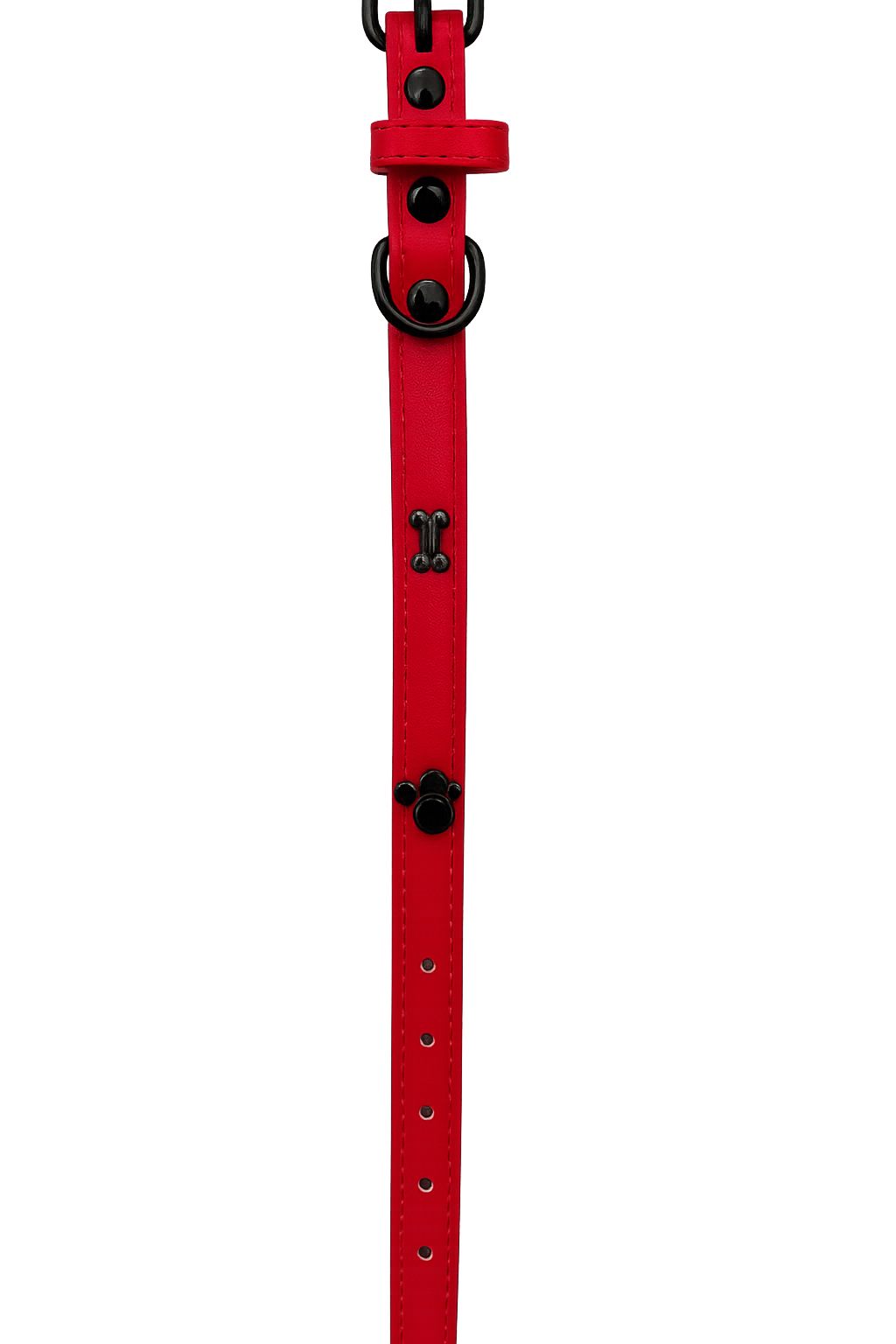 Correa para perro Rojo Talla S (Medidas: 1.5 cm x 38 cm)