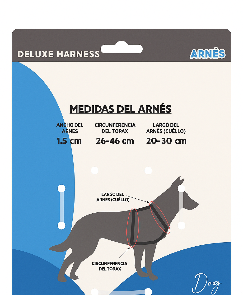 Arnes + Correa para perro Talla S