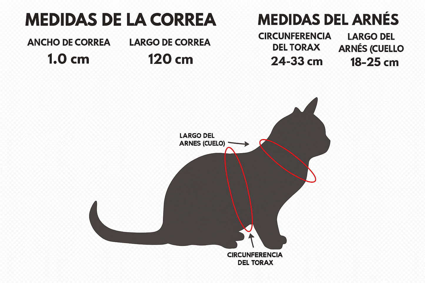 Arnes + Correa para Gato Talla S