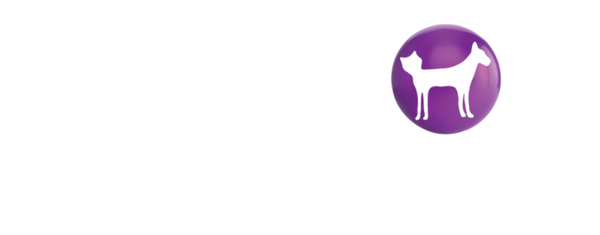 Catdog Food Delivery