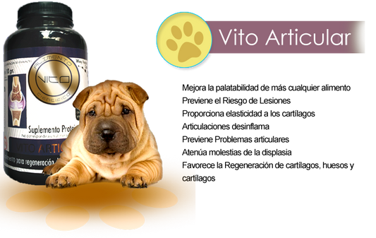 Vito Articular 300(gr) Perro