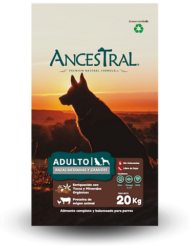 Ancestral Adulto - 20 (Kg)