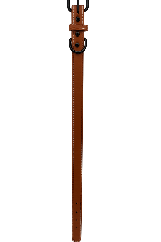 Collar para Perro Café Talla L (Medidas: 2.5 cm x 56 cm)