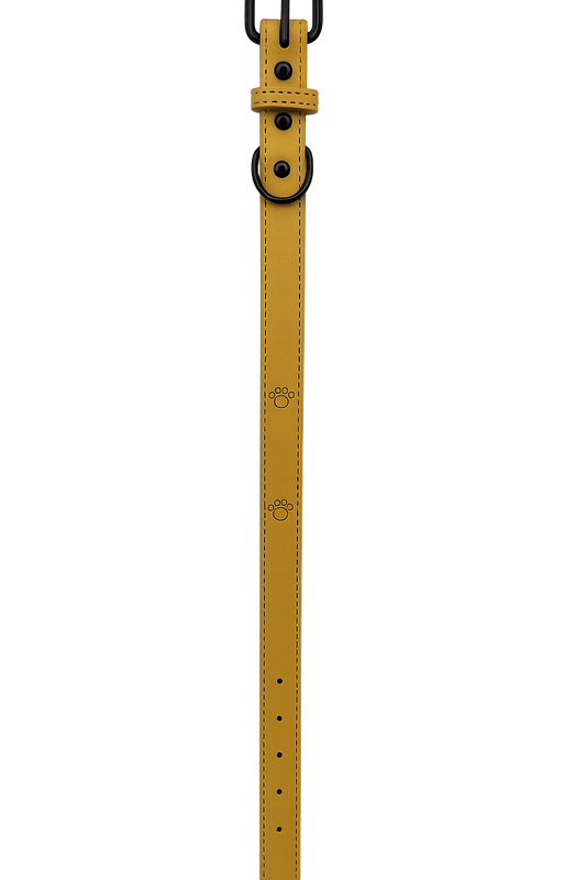 Collar para perro Amarillo Talla L (Medidas: 2.5 cm x 56 cm)