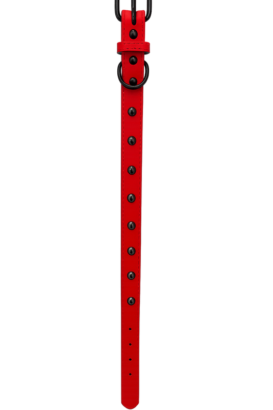 Colla para perros Rojo tachas Talla L (Medidas: 2.5 cm x 56 cm)