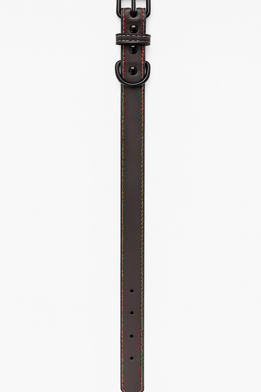 Collar para perro Gris Talla L (Medidas: 2.5 cm x 56 cm)