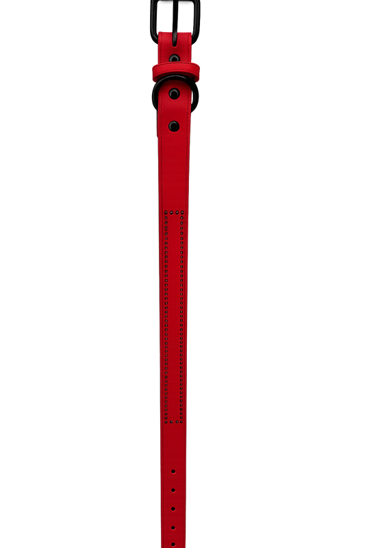 Collar para perro Rojo tachas Talla L (Medidas: 2.5 cm x 56 cm)
