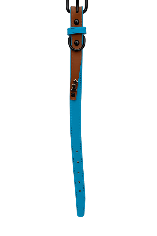 Collar para perro Celeste Talla M (Medidas: 2.0 cm x 42 cm)