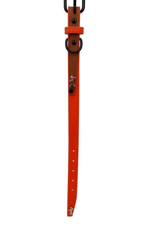 Collar para perro Naranjo Talla M (Medidas: 2.0 cm x 42 cm)