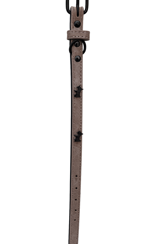 Collar para perro Gris Talla S (Medidas: 1.5 cm x 38 cm)