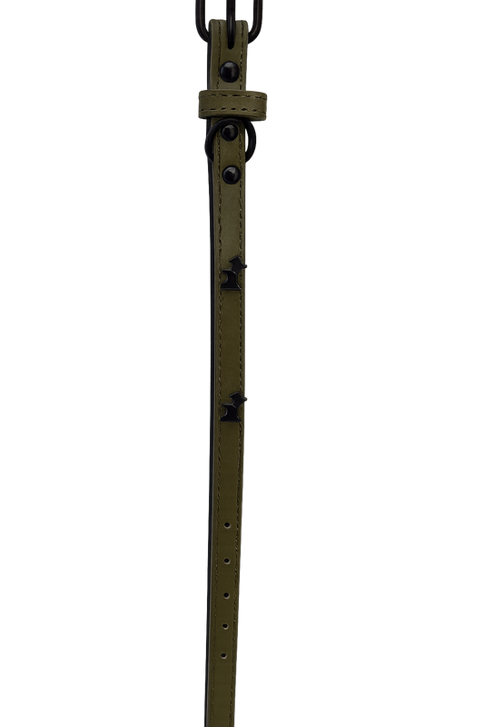 Collar para perro verde Talla S (Medidas: 1.5 cm x 38 cm)