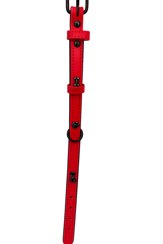 Collar para perro Rojo Talla S (Medidas: 1.5 cm x 38 cm)