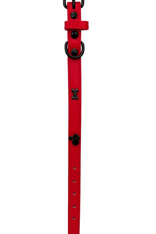 Correa para perro Rojo Talla S (Medidas: 1.5 cm x 38 cm)