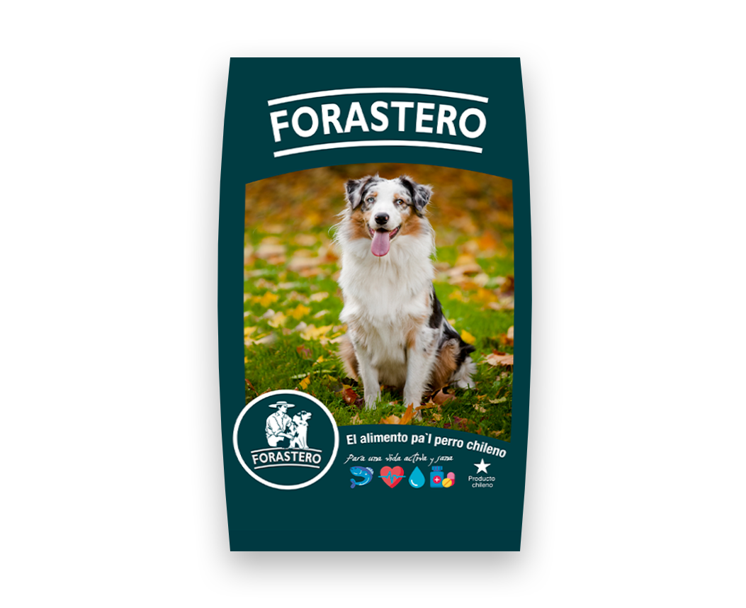 Forastero Adulto - 20 (Kg)