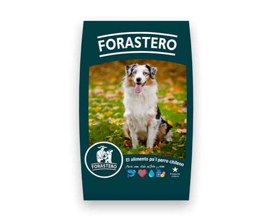 Forastero Adulto - 20 (Kg)