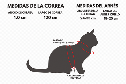 Arnes + Correa para Gato Talla S