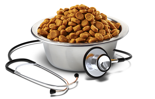 Vet Life Renal 10.1(Kg)