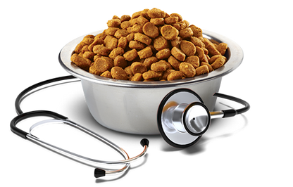 Vet Life Renal 10.1(Kg)