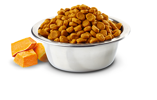 N&D Pumpkin Pato y Melón 1.5(Kg) (Libre de Granos)