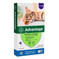 Advantage 4 a 8 (Kg)